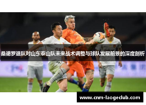 桑德罗退队对山东泰山队未来战术调整与球队发展前景的深度剖析