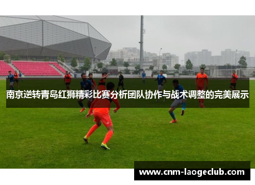 南京逆转青岛红狮精彩比赛分析团队协作与战术调整的完美展示