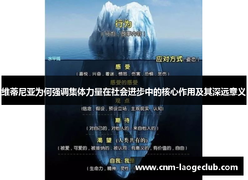 维蒂尼亚为何强调集体力量在社会进步中的核心作用及其深远意义 维蒂尼亚为何强调集体力量在社会进步中的核心作用及其深远意义