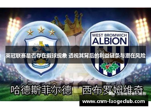 英冠联赛是否存在假球现象 透视其背后的利益链条与潜在风险