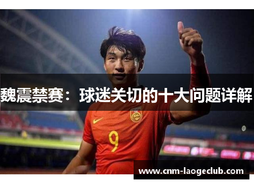 魏震禁赛：球迷关切的十大问题详解