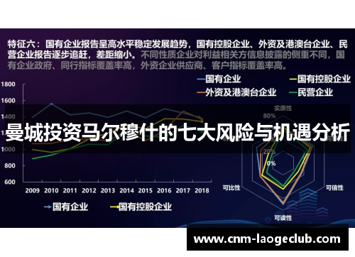 曼城投资马尔穆什的七大风险与机遇分析