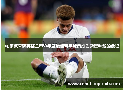帕尔默荣获英格兰PFA年度最佳青年球员成为新星崛起的象征