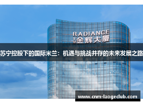 苏宁控股下的国际米兰：机遇与挑战并存的未来发展之路