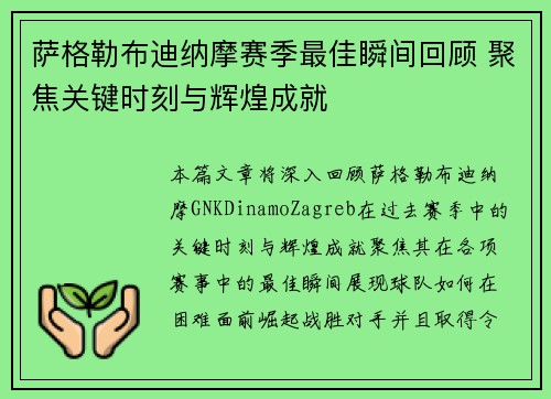 萨格勒布迪纳摩赛季最佳瞬间回顾 聚焦关键时刻与辉煌成就